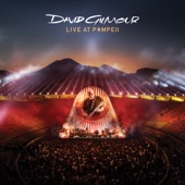 Live at Pompeii artwork