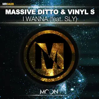 I Wanna (Instrumental Mix) by Massive Ditto & Vinyl S song reviws