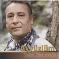 YAYLA YOLLARI