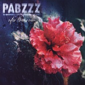 Pabzzz - springtime