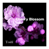 CHERRY BLOSSOM - Toshl