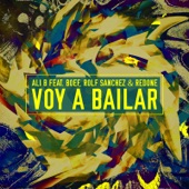 Voy a Bailar (feat. Boef & Rolf Sanchez) artwork
