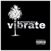 Vibrate - Single