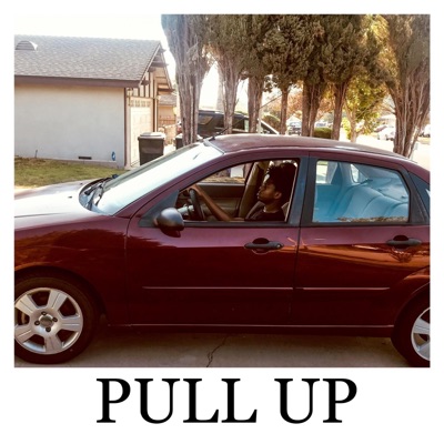 Pull Up - Single