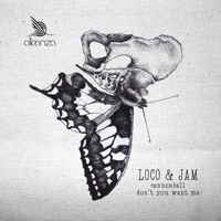 Cannonball Ep - Loco & Jam
