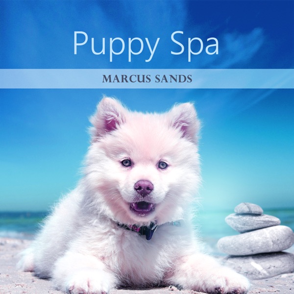 Puppy Spa