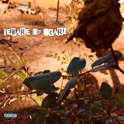Beware of Scarz - EP