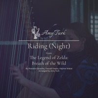 Riding (Night) [feat. Patti Rudisill] - Single - Amy Turk