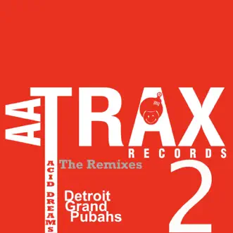 Acid Dreams (Dan D'ascenzo Mix) by Detroit Grand Pubahs song reviws