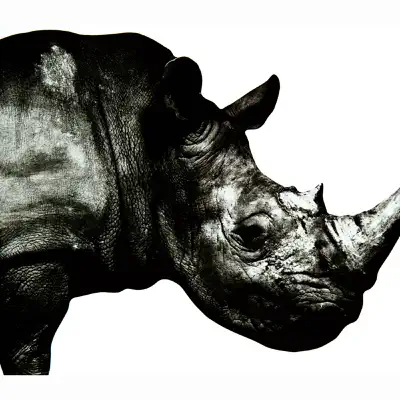 Mr.Children 1992-1995 - Mr. Children Mr.Children 1992-1995 - Mr. Children