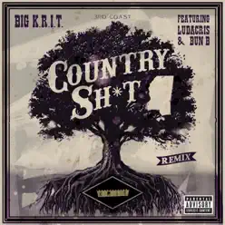 Country Sh*t (Remix) [feat. Ludacris & Bun B] - Single - Big K.R.I.T