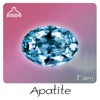 Apatite 1st Gem - EP
