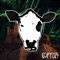 Brazilerox - Laroz Camel Rider lyrics