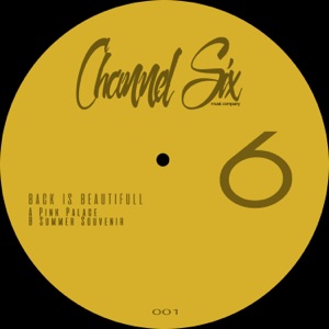 Pink Palace / Sumer Souvenir - Single