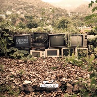 To the Foundation - Forelock, Arawak & Paolo Baldini DubFiles