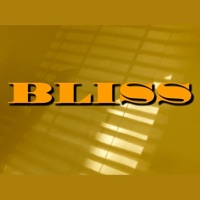 Bliss (feat. Mochi Robinson) - Single - Vincent Paragano