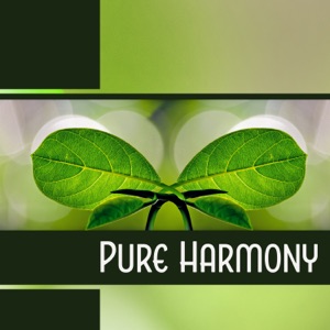 Pure Harmony