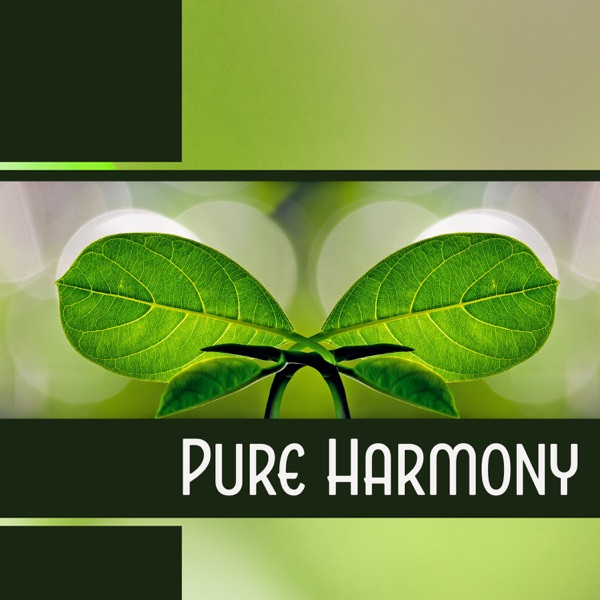 Pure Harmony
