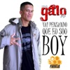 Vai Pensando Que Eu Sou Boy - Single