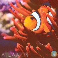 Atlantis - Single - Andrew Southworth