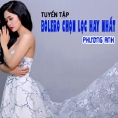 Tuyển Tập Bolero Chọn Lọc Hay Nhất Của Ngọc Nữ Bolero Phương Anh artwork