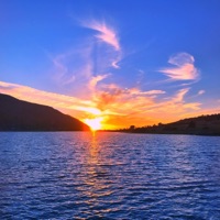 Dear Annie (Acoustic) - Single - Brendan Clemente