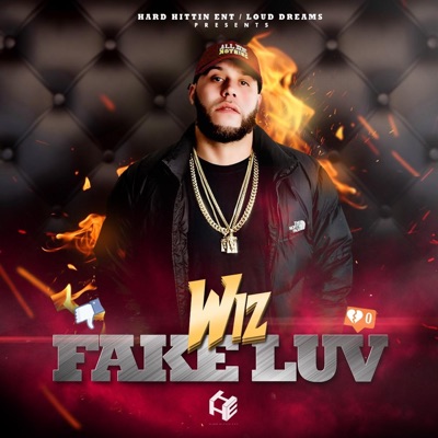 Fake Luv - Single