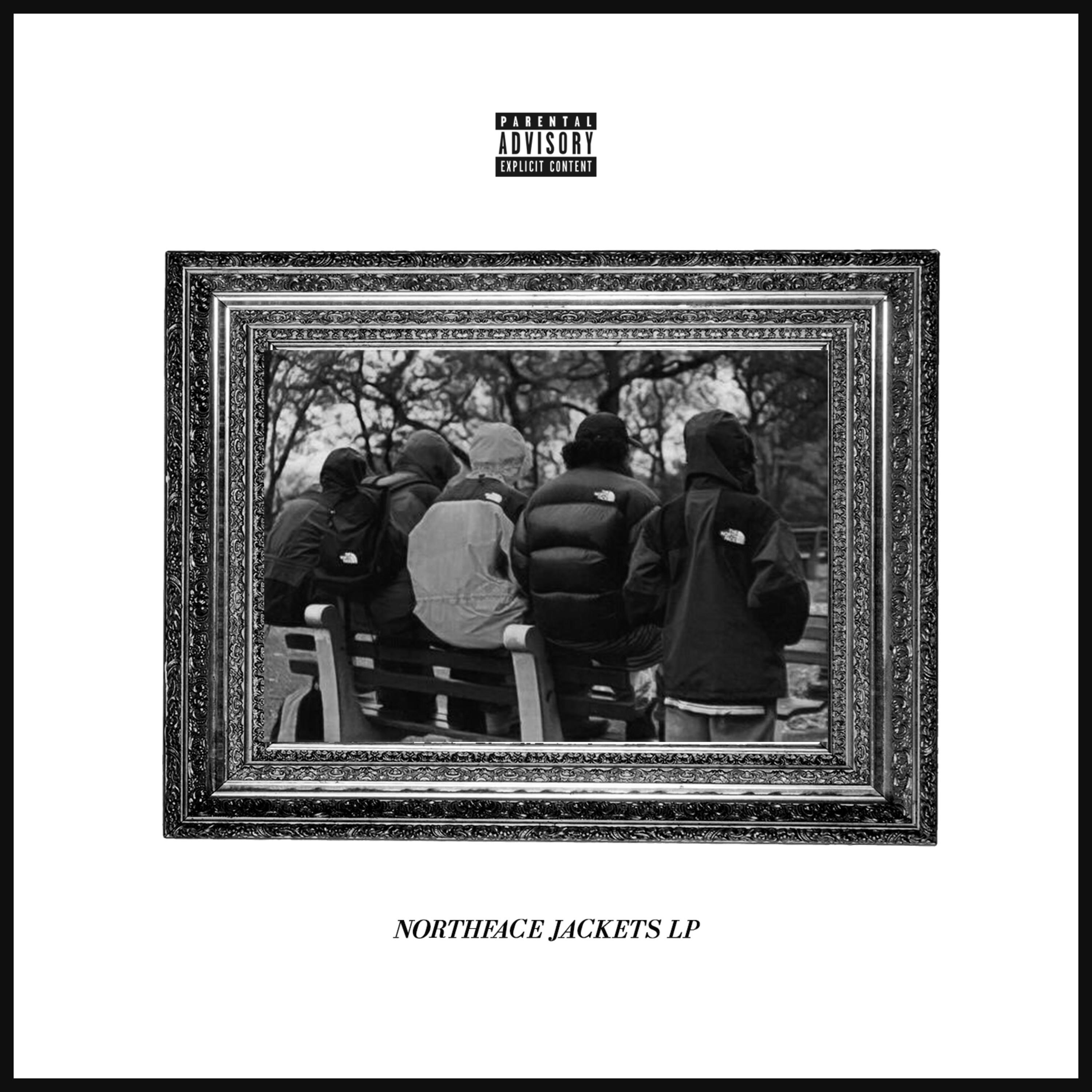 North Face Jackets LP