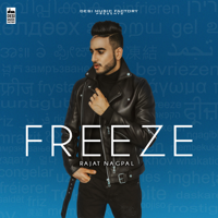 Rajat Nagpal - Freeze artwork