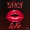Spicy (feat. Fabolous) - Lil' Kim lyrics