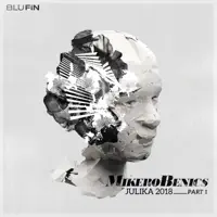 Julika (The Electronic Advance Remix) — MikeroBenics