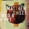 Ladyfingers - Matthew Sweet lyrics