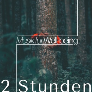 2 Stunden Musik für Well-being (Biofeedback): Beruhigende Musik und entspannende Musik für Ihr Wohlbefinden