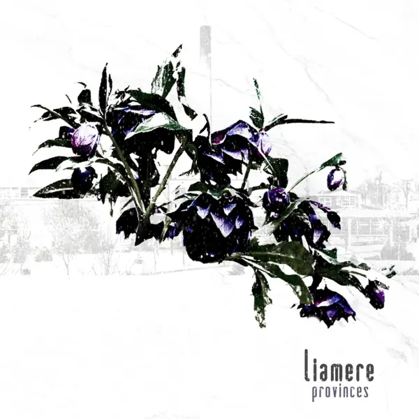 Manitoba — Liamere