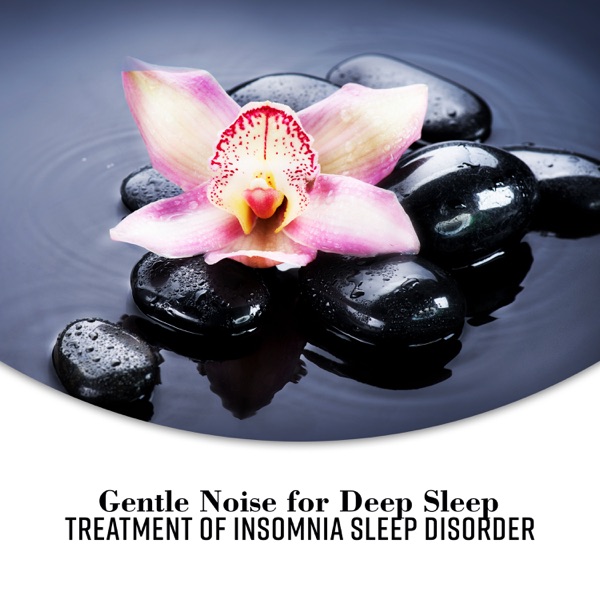 Gentle Noise for Deep Sleep: Treatment of Insomnia Sleep Disorder, Therapy Music for Spa, Meditation & Yoga, Reiki, Tranquility Ambiences