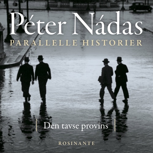 Deb tavse provins: Parallelle historier 1 cover