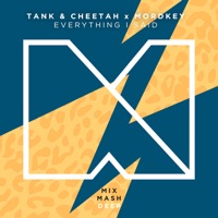 Everything I Said - Single - Tank & Cheetah & Mordkey