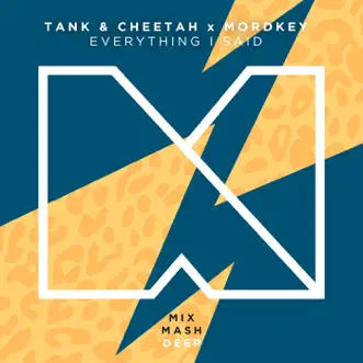 Everything I Said by Tank & Cheetah & Mordkey song reviws