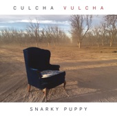 Snarky Puppy - Big Ugly