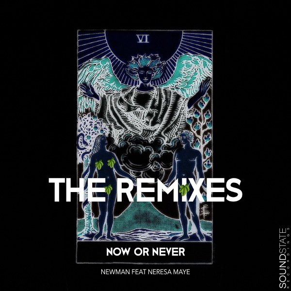 Now or Never - The Remixes (feat. Neresa Maye) - Single