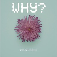 Why - Single - Hillzy