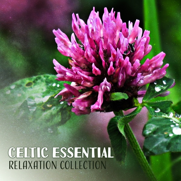 Celtic Essential Relaxation Collection: Soothing Meditation, Divine Relax, Blissful Rest, Goddes & Mystical