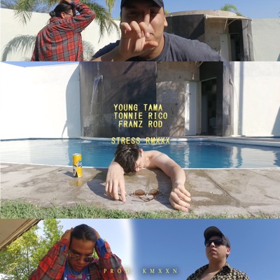 Stress (Remix) [feat. Young Tama & Franz Rod] - Single