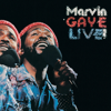 Inner City Blues (Make Me Wanna Holler) [Live] - Marvin Gaye