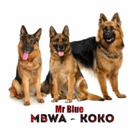 Mbwa Koko - Single - Mr. Blue