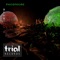 Phosphore - BFVR lyrics