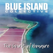 The Spirit Of Bonaire (VOB's RT Remix) artwork