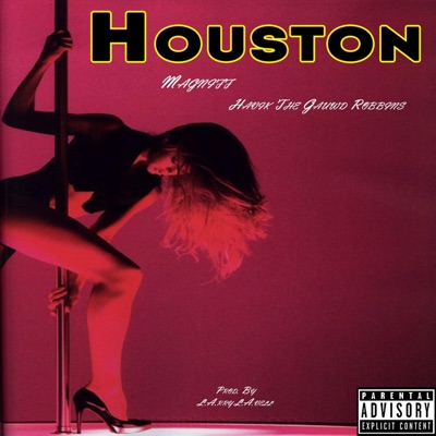 Houston (feat. Havik the Gauwd Robbins) - Single
