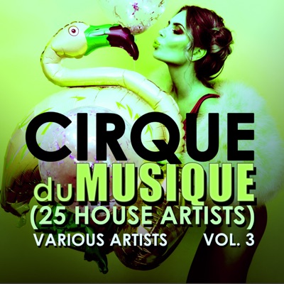 Cirque du Musique, Vol. 3 (25 House Artists)