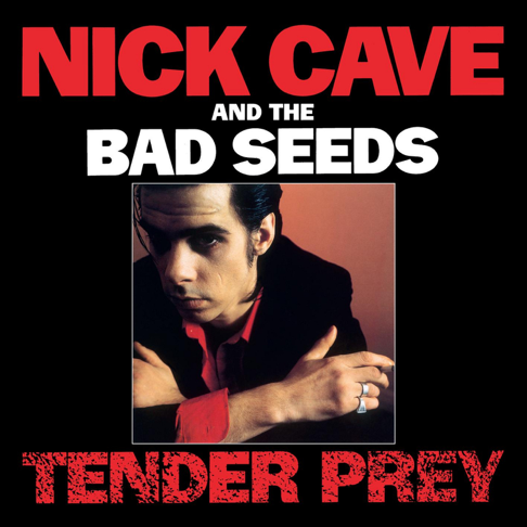 Nick Cave & The Bad Seeds - Apple Music